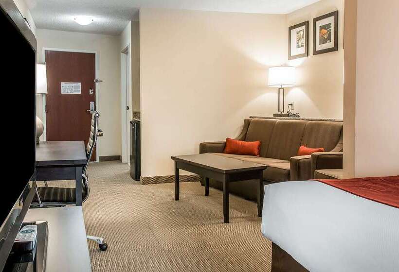 هتل Comfort Suites South Bend Near Casino
