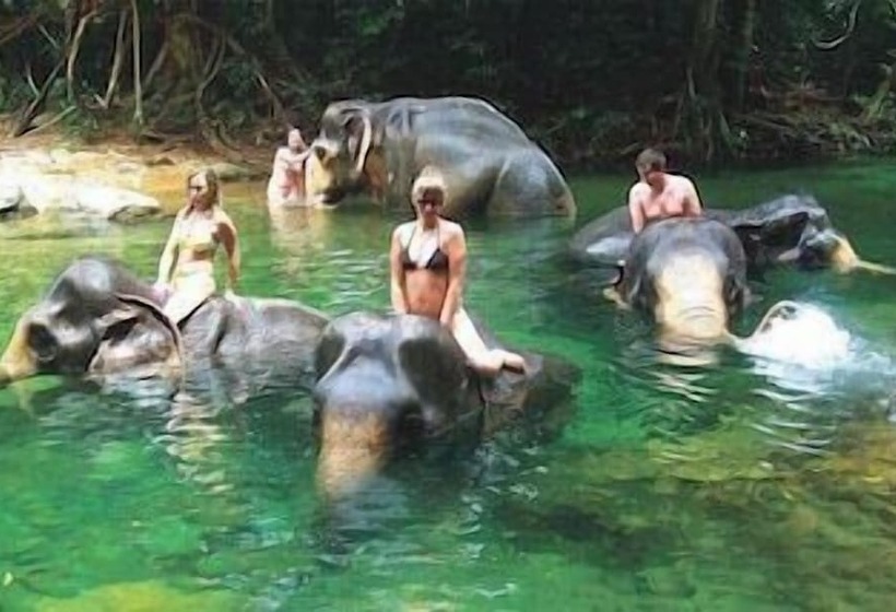 호텔 Comsaed River Kwai Resort