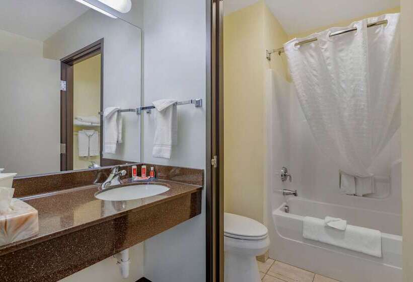 호텔 Econo Lodge Inn & Suites Fairgrounds