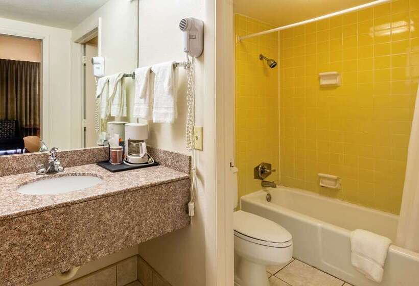 فندق Econo Lodge Lake City North