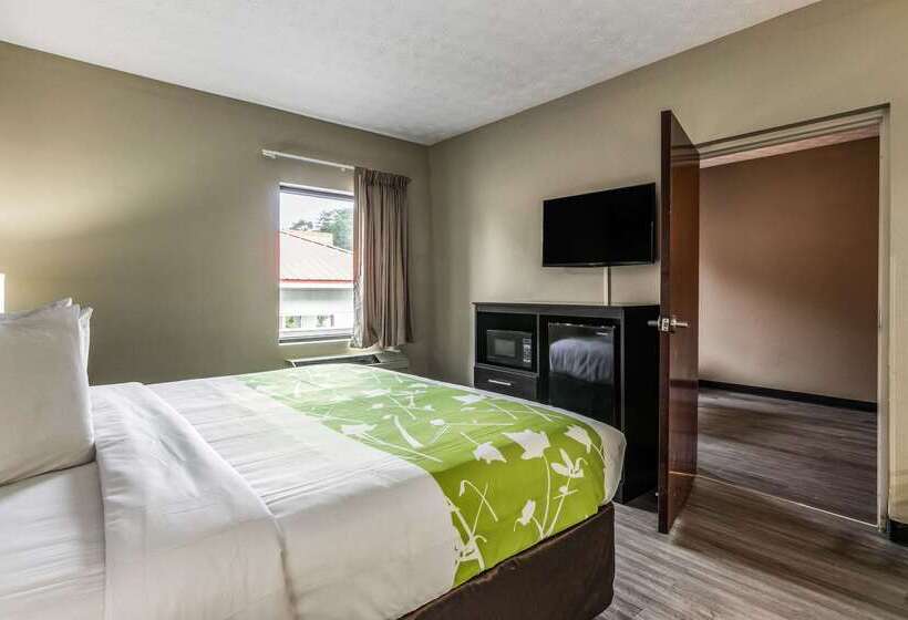 호텔 Americas Best Value Inn Opelika
