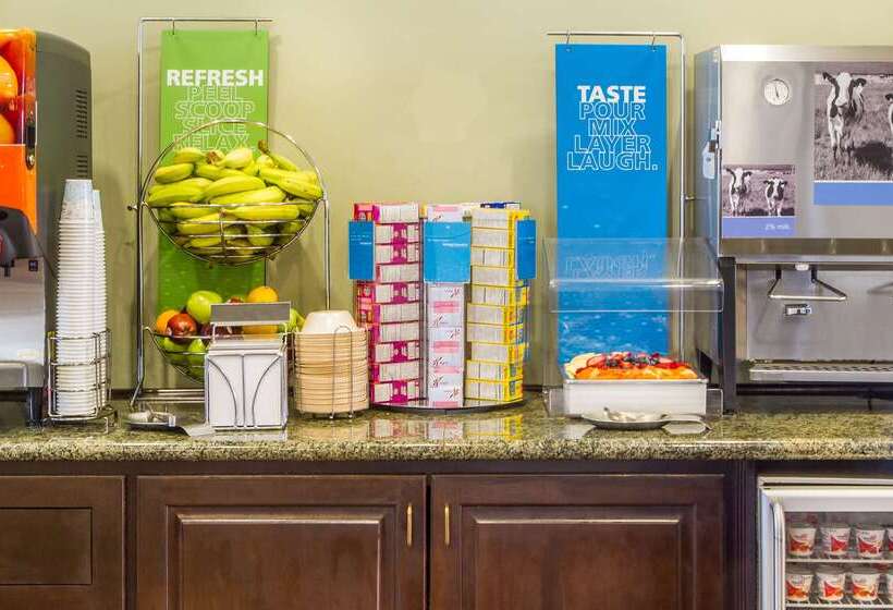 בית מלון כפרי Hampton Inn & Suites Savannah Historic District