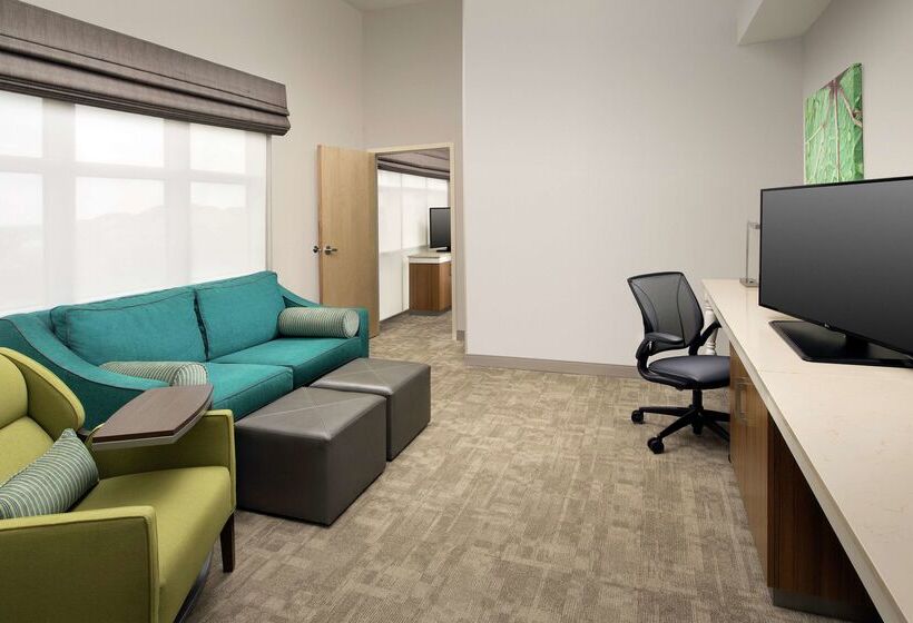 酒店 Hilton Garden Inn San Antonio Airport South