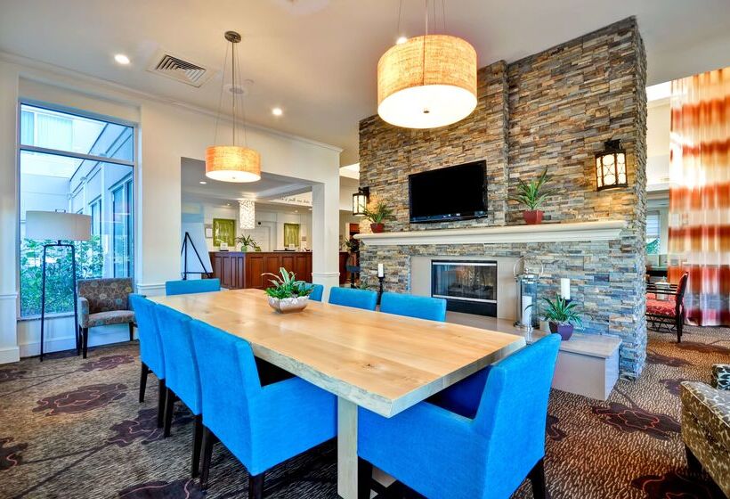 فندق Hilton Garden Inn Tampa North Busch Gardens