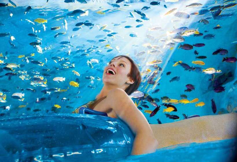 فندق Hilton Garden Inn Tampa North Busch Gardens