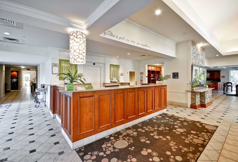 فندق Hilton Garden Inn Tampa North Busch Gardens