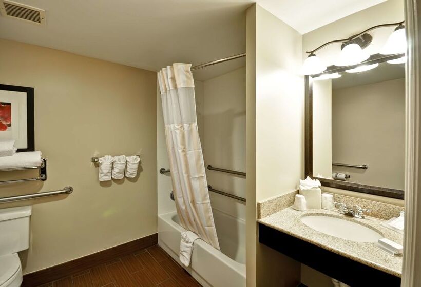 בית מלון כפרי Hilton Garden Inn Tampa North Busch Gardens