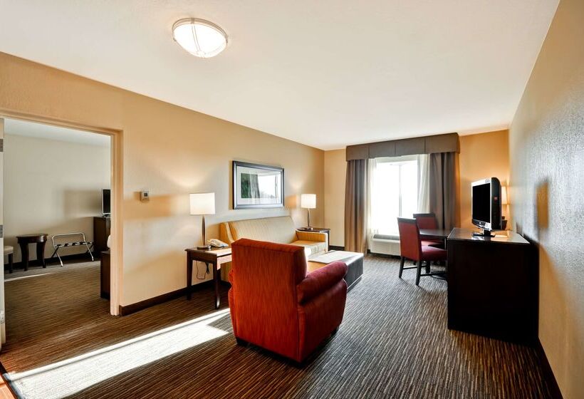 בית מלון כפרי Hilton Garden Inn Tampa North Busch Gardens