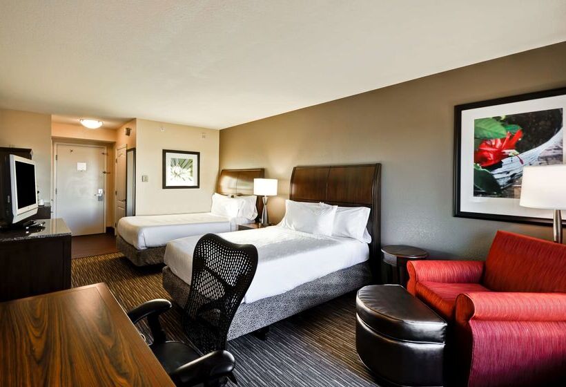בית מלון כפרי Hilton Garden Inn Tampa North Busch Gardens