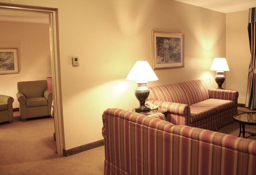 فندق Hilton Garden Inn Tampa North Busch Gardens