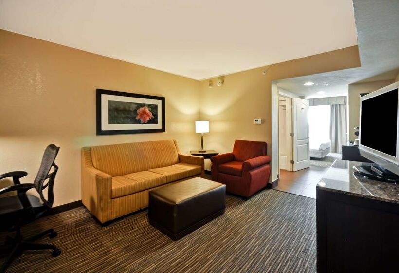 فندق Hilton Garden Inn Tampa North Busch Gardens