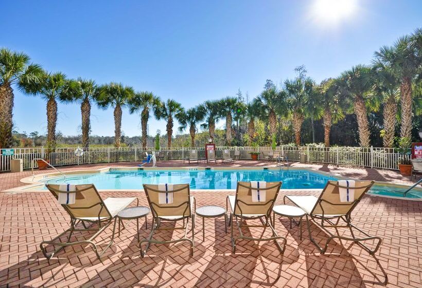 فندق Hilton Garden Inn Tampa North Busch Gardens