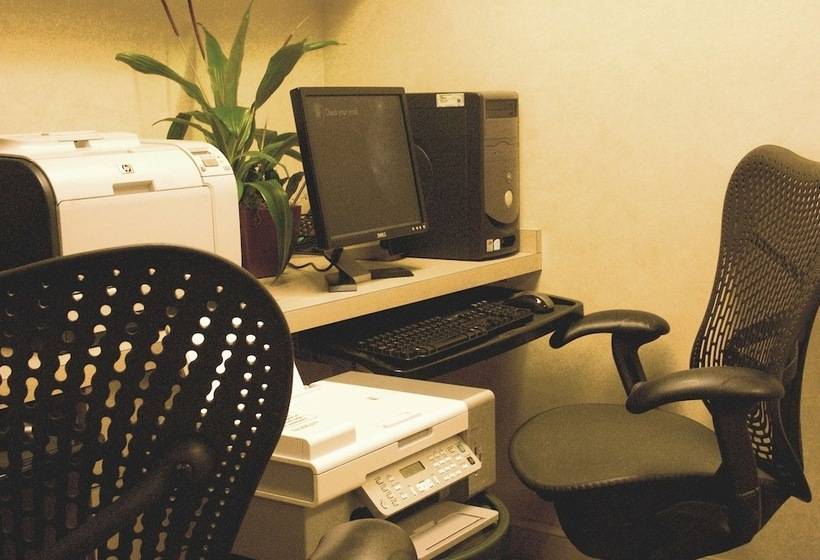 فندق Hilton Garden Inn Tampa North Busch Gardens