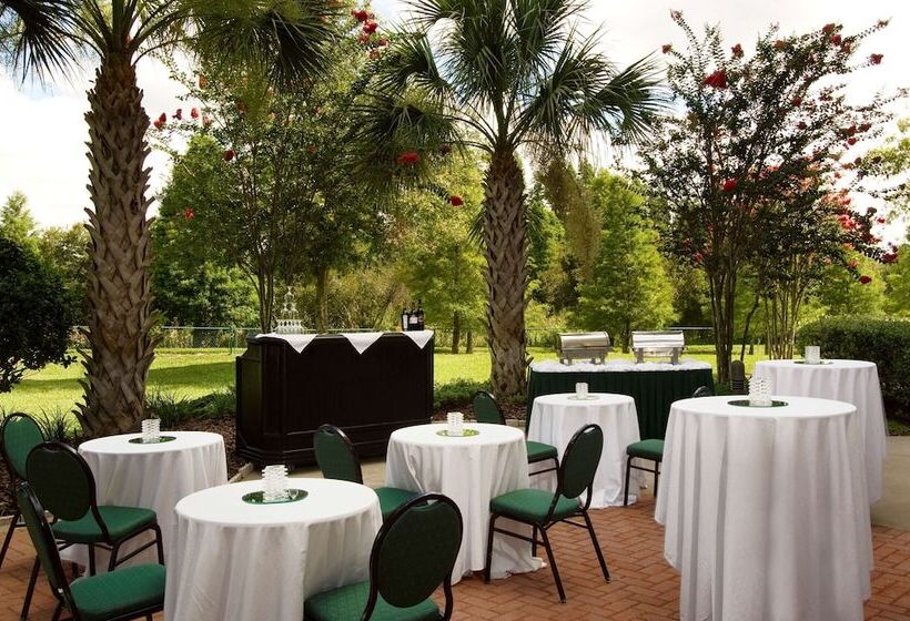 فندق Hilton Garden Inn Tampa North Busch Gardens