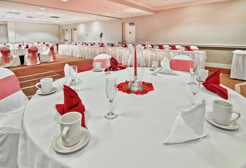 فندق Hilton Garden Inn Tampa North Busch Gardens