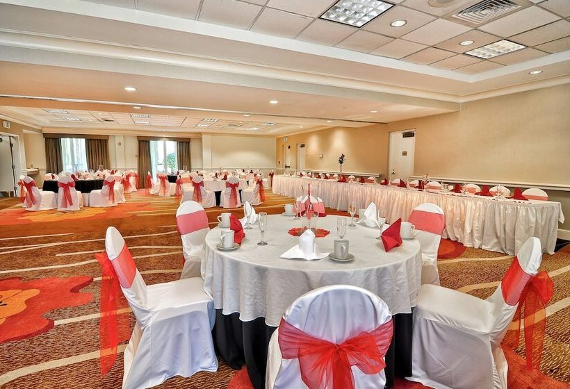 בית מלון כפרי Hilton Garden Inn Tampa North Busch Gardens