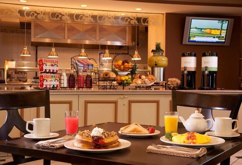 فندق Hilton Garden Inn Tampa North Busch Gardens