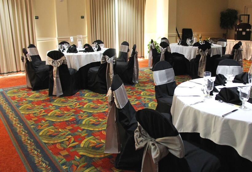 فندق Hilton Garden Inn Tampa North Busch Gardens