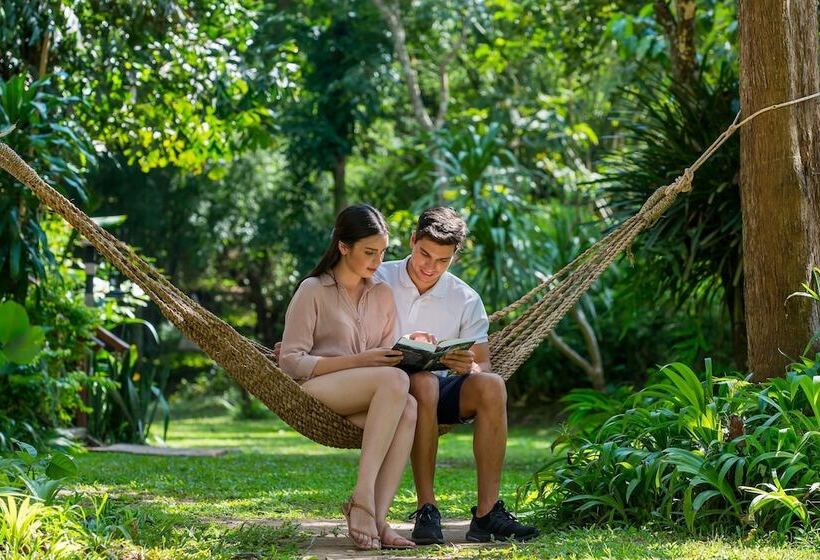 فندق Hintok River Camp