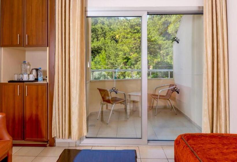 酒店 Julian Forest Suites