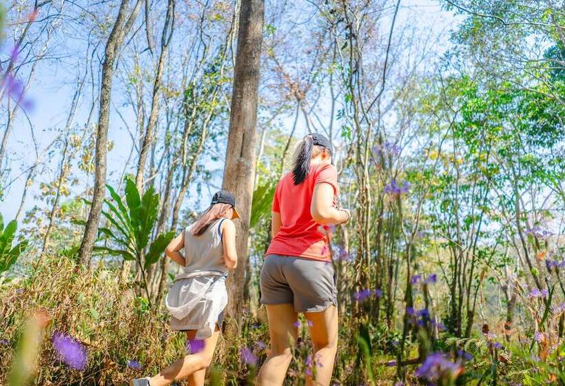 Hotel Katiliya Mountain Resort And Spa