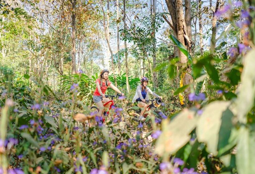 Hotel Katiliya Mountain Resort And Spa