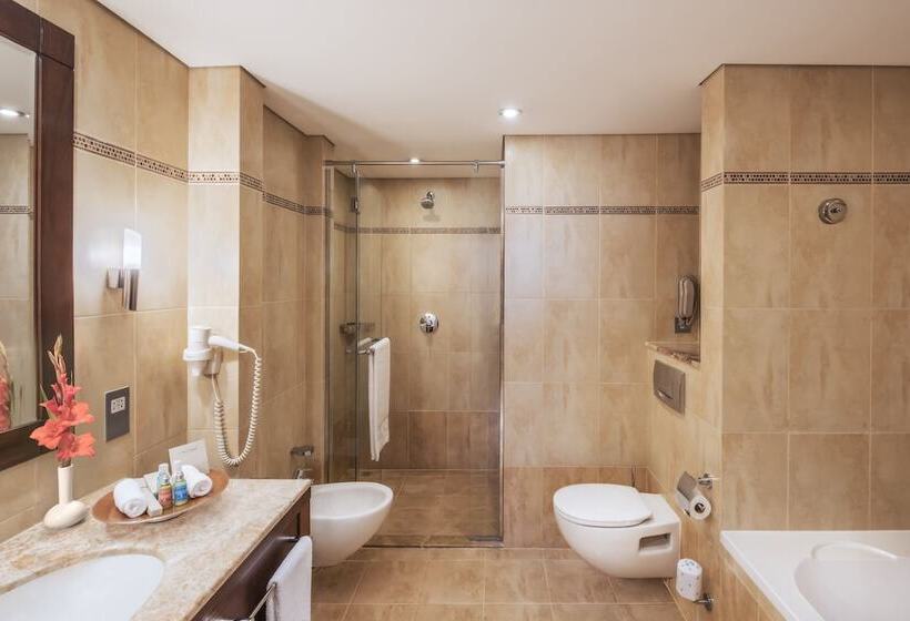 فندق Khalidiya Palace Rayhaan By Rotana, Abu Dhabi