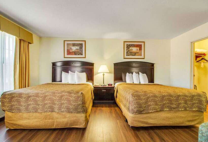 ホテル Mainstay Suites Texas Medical Center Reliant Park