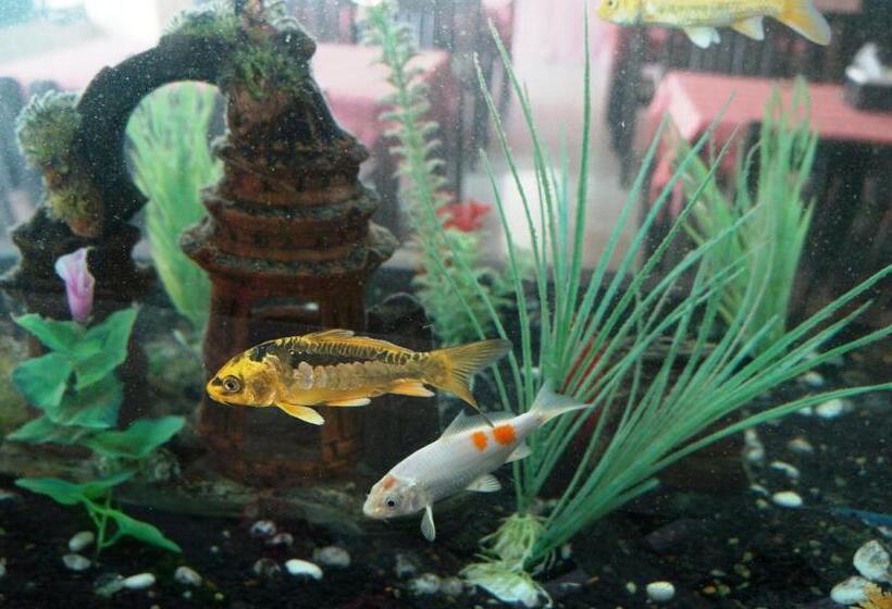 Отель Noble Place Chiangmai