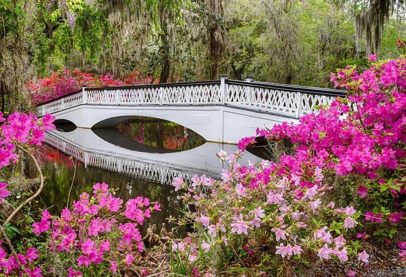 酒店 North Charleston Marriott