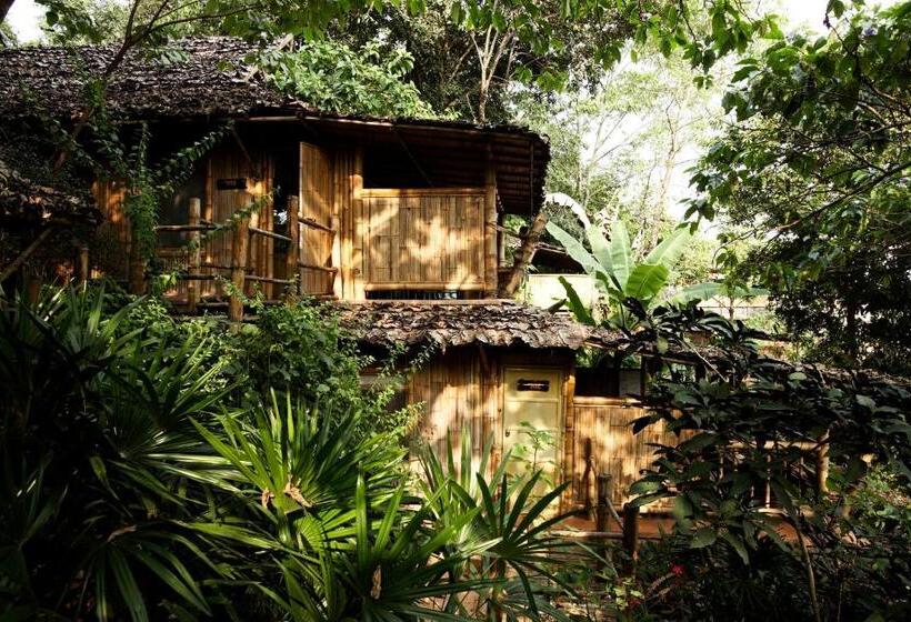 هتل Phu Chaisai Chiang Rai Mountain Resort