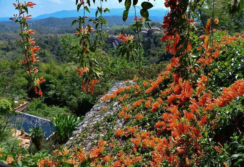 هتل Phu Chaisai Chiang Rai Mountain Resort