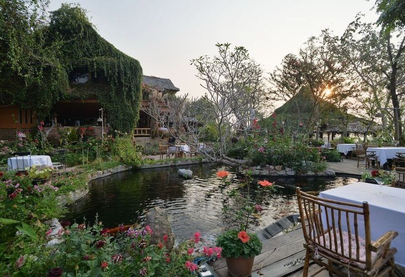 Hotel Phu Chaisai Chiang Rai Mountain Resort