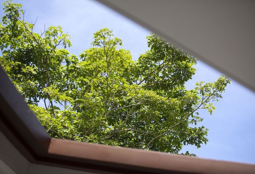 בית מלון כפרי Pumilio Mountain & Ocean