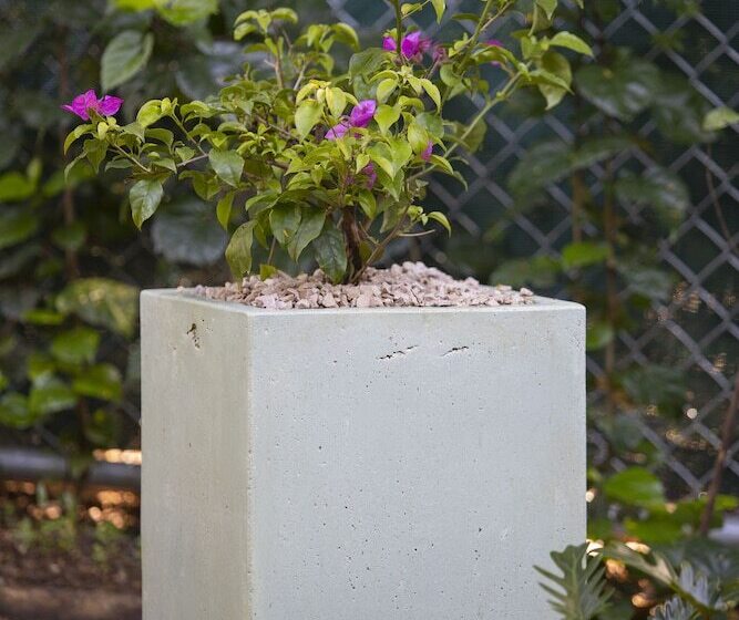 בית מלון כפרי Pumilio Mountain & Ocean