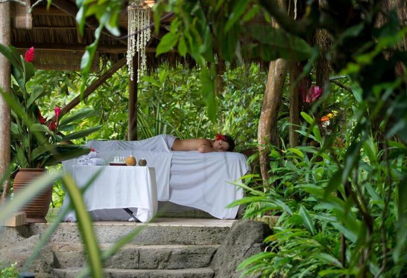 בית מלון כפרי Pumilio Mountain & Ocean