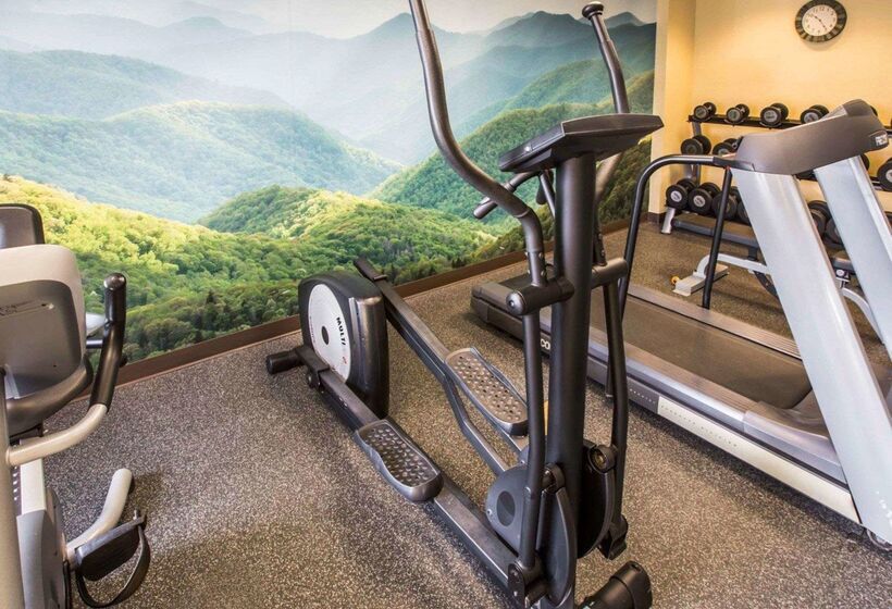 酒店 Quality Inn Jonesville I77
