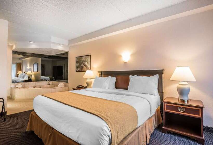 호텔 Quality Inn & Suites Albany Airport