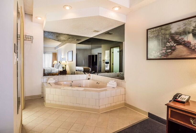 호텔 Quality Inn & Suites Albany Airport