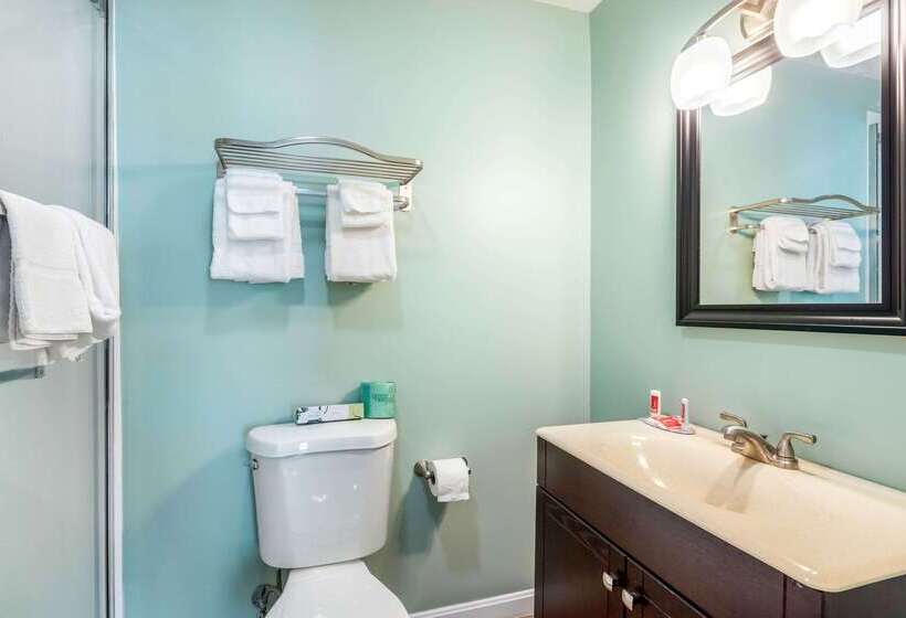 호텔 Quality Inn & Suites