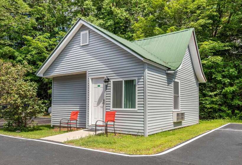 호텔 Quality Inn & Suites