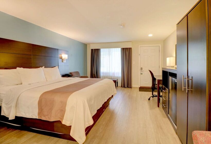 호텔 Quality Inn & Suites