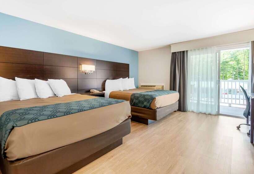 호텔 Quality Inn & Suites