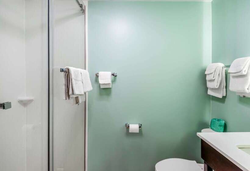 호텔 Quality Inn & Suites