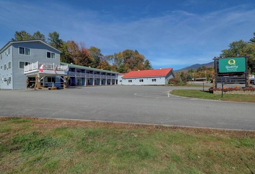 호텔 Quality Inn & Suites