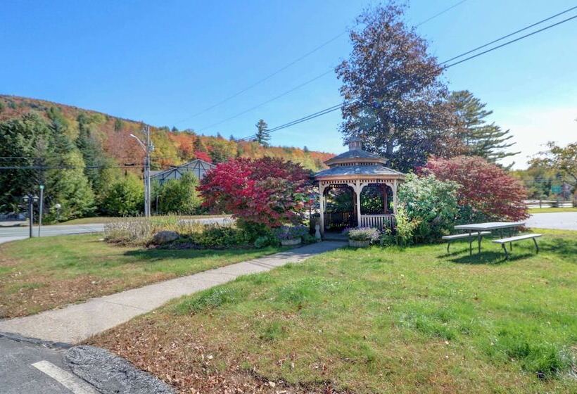 호텔 Quality Inn & Suites