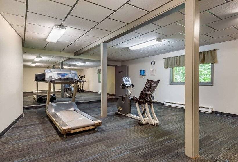 호텔 Quality Inn & Suites