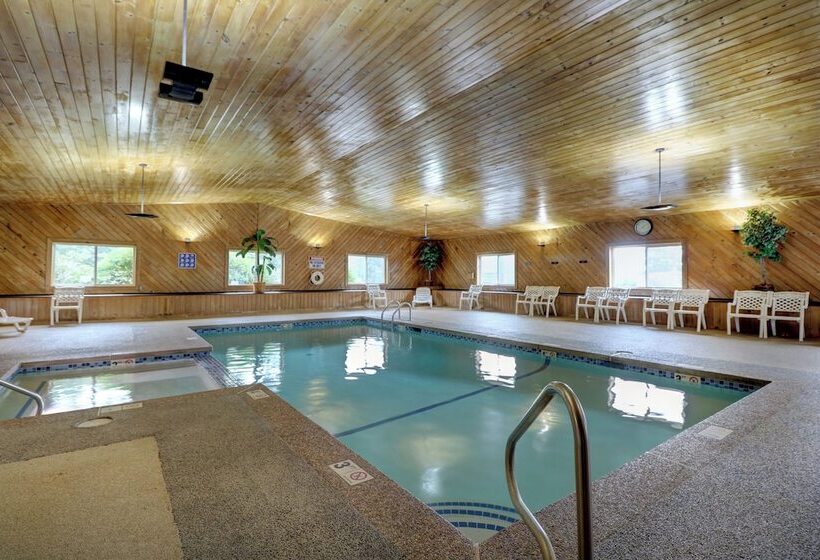 호텔 Quality Inn & Suites