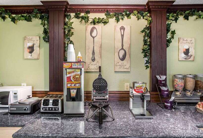فندق Rodeway Inn & Suites