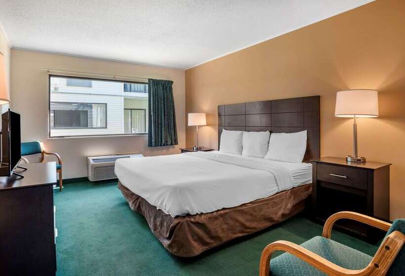 Отель Rodeway Inn & Suites